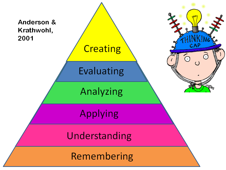 Critical thinking practice questions