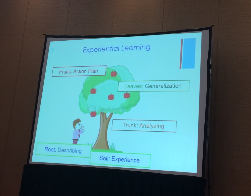 Taking teachers through the reflective process. A slide from the presentation Teacher Change Beyond Borders: Regional Impact of Experiential Professional Development by Josephine Kennedy, Kevin Giddens and Helena Simas, with World Learning and AMIDEAST, TESOL Convention 2016