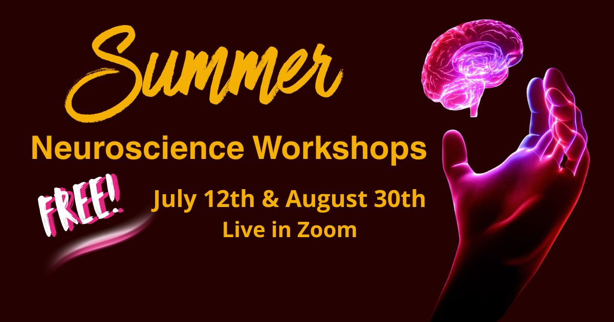 A playful brain relaxing on a deck chair under a beach umbrella — summer workshop series